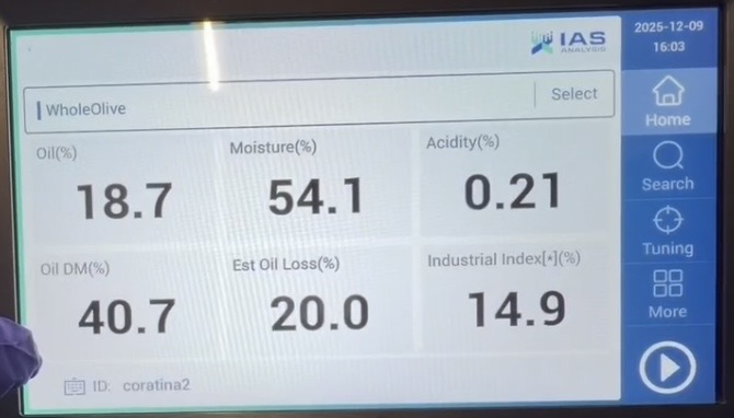 Schermata reale IAS-OLIVER con risultati numerici su olive intere
